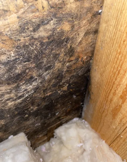 Indoor Air Quality: The Big Picture