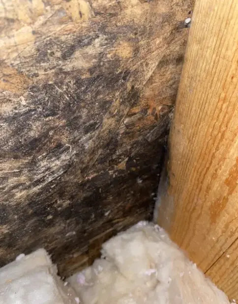 Indoor Air Quality: The Big Picture